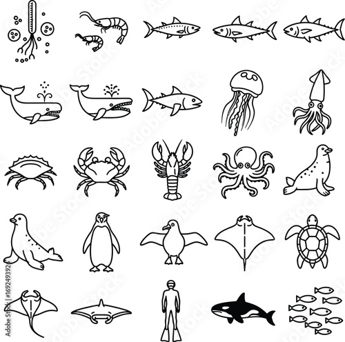 Comprehensive Collection of Diverse Marine Animal Line Icons Representing Oceanic Biodiversity and Aquatic Creatures for Educational and Design Projects