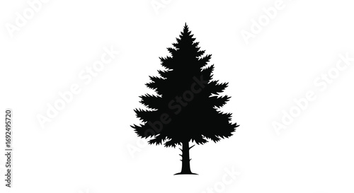 Classic evergreen tree silhouette on a clean white background