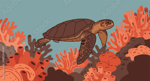 Sea turtle swims among coral reef in ocean