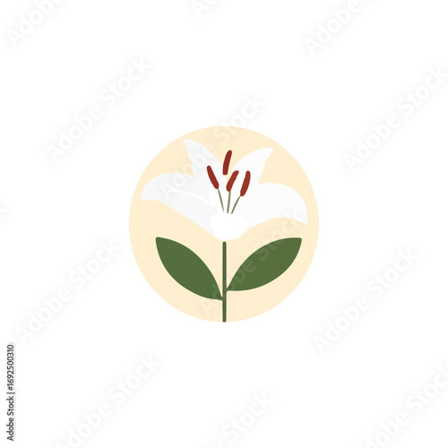 A simple illustration of a white lily with green leaves against a light yellow circular background.