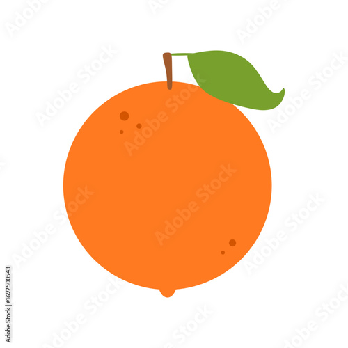 orange fruit vector illustration