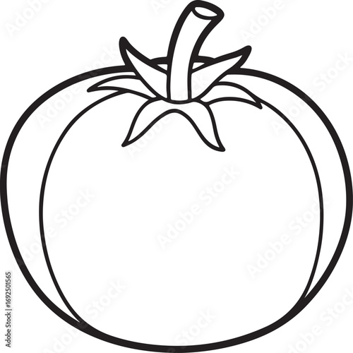 tomato line art, coloring book page line art drawing, vector and illustration