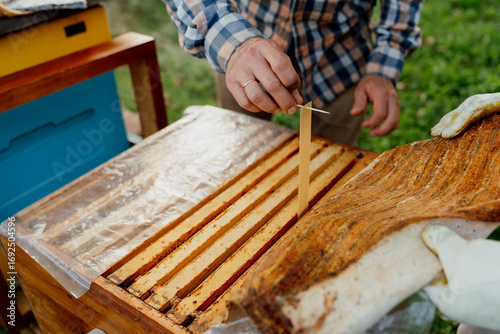 Beekeeper carefully placing treatment strips against varroa mites inside a wooden beehive to protect the bee colony and maintain healthy honey production.