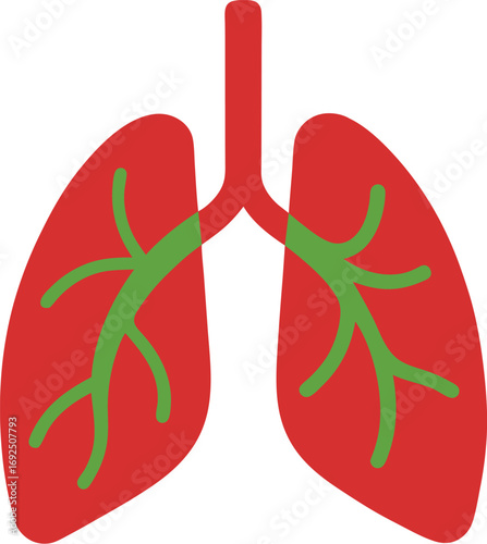 lung breathing organ vector art illustration