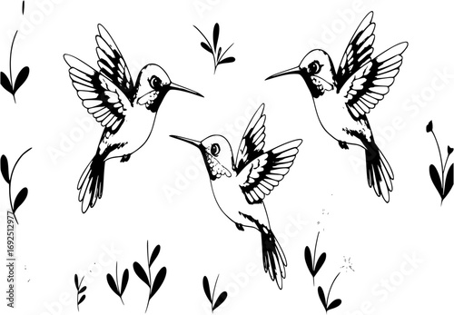Cute hummingbird and flowers set, vector illustration.
