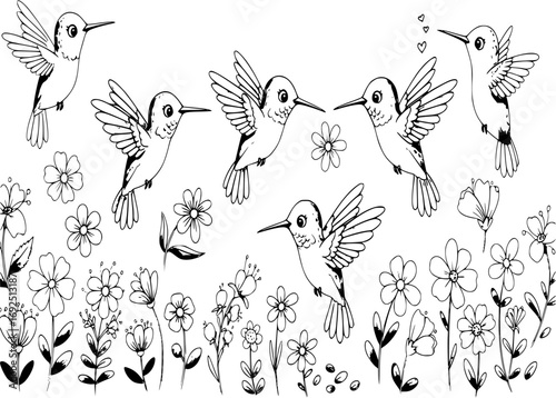 Cute hummingbird and flowers set, vector illustration.

