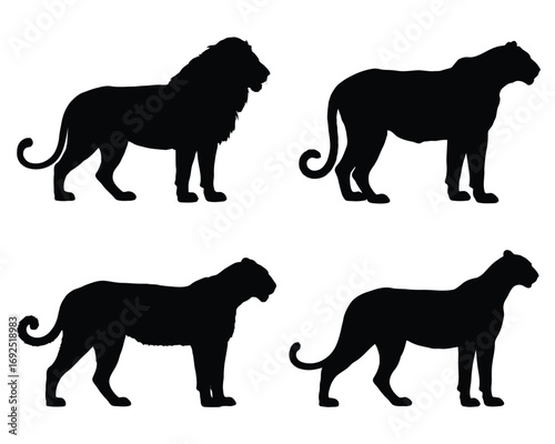 Majestic lion panther leopard and jaguar silhouettes collection of wild animals silhouette vector illustration white background