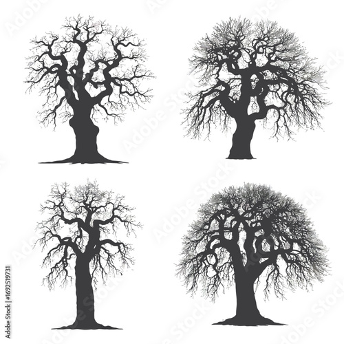 Creepy gnarled tree silhouettes spooky halloween fantasy forest nature branching art silhouette vector illustration white background