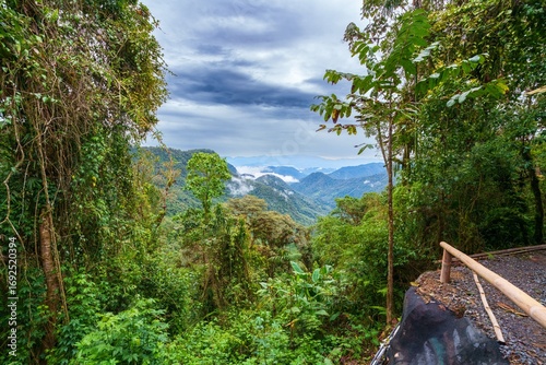 Tableau sur toile The cloud forest, a natural sanctuary north-west of Quito, Mindo cloud forest, A