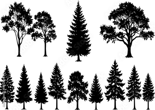 Vintage trees and forest silhouettes set with Fir tree silhouette and vector

