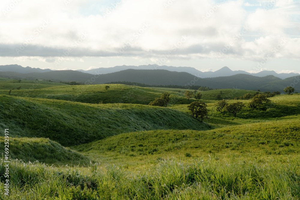 Obraz premium 日本の風景