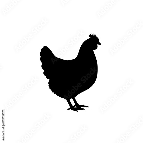 Black chicken silhouette isolated on white background
