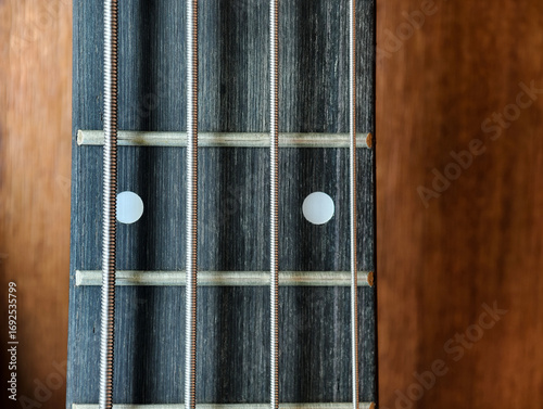 Close-up of bass guitar fretboard with metal strings and position markers