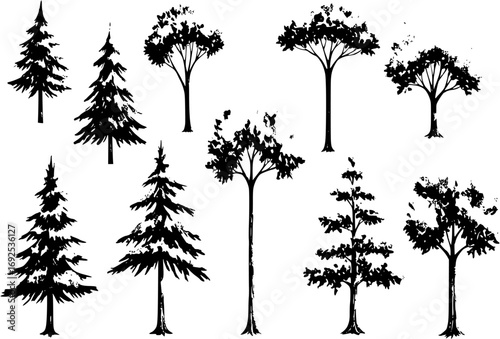 Tree watercolor clipart crop picture use Set of hand drawn trees. forest tree pack isolated transparent background PNG 300 DPI
