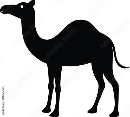 Black Camel Silhouette Vector, Minimalist Desert Graphic Illustration