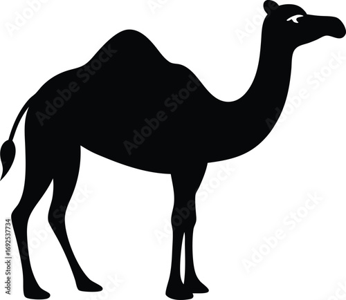 Camel Silhouette Vector Flat Design, Desert Animal Icon on White Background
