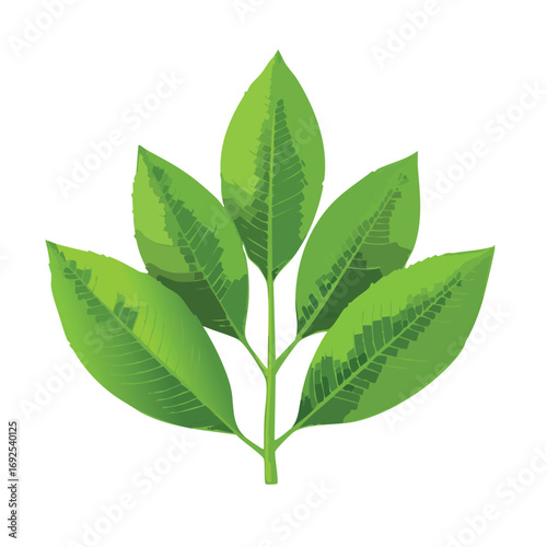 Lemon Leaves Vector Illustration in EPS Format, Minimalist Botanical Design
