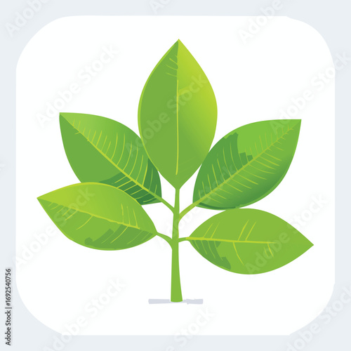 Lemon Leaves Vector Illustration in EPS Format, Minimalist Botanical Design