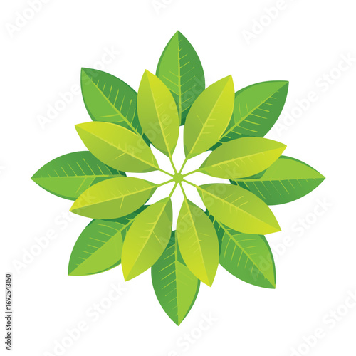 Lemon Leaves Vector Illustration in EPS Format, Minimalist Botanical Design