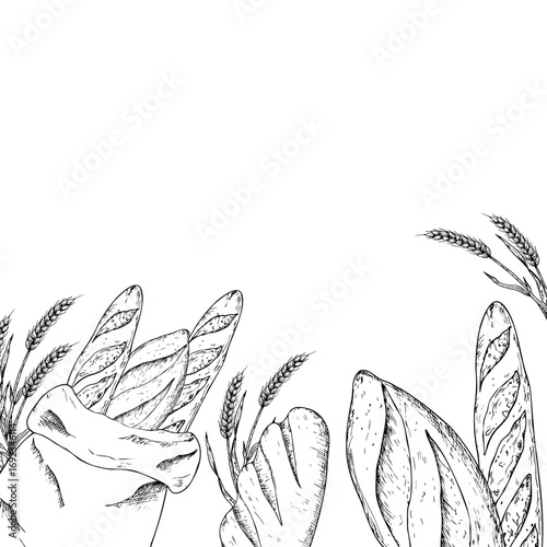 Vector hand drawn baguette and ciabatta in a rustic craft bag.Detailed liner sketch perfect for food blog illustrations. Minimalistic outline for artisan bakery design isolated on background. For