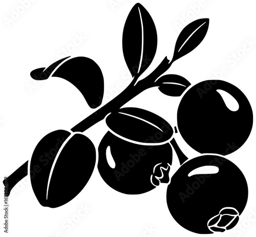 fruit illustration cranberry silhouette food logo berry icon fresh outline red healthy ripe juicy white grape raspberry organic leaf shape coconut vector graphic background