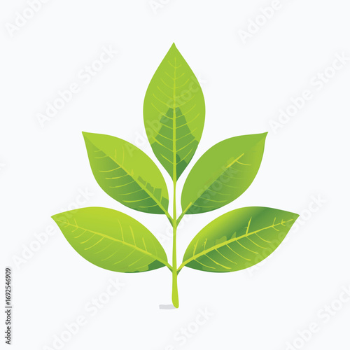 Lemon Leaves Vector Illustration in EPS Format, Minimalist Botanical Design