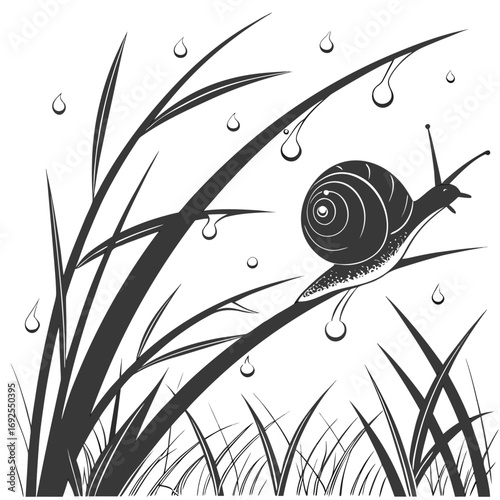 snail on a leaf