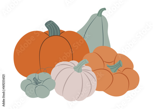 Vector illustration of various pumpkins in different colors and shapes. Ideal for autumn themes, harvest festivals, and fall decorations, showcasing seasonal diversity and richness.