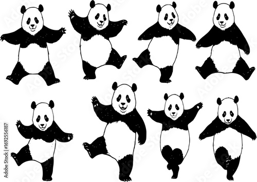 Set of dancing panda hand drawn ink sketch. Engraved style vector illustration
