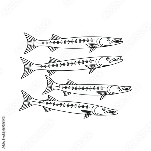 Simple black line art drawing of a pike fish in a minimalist style on a white background.