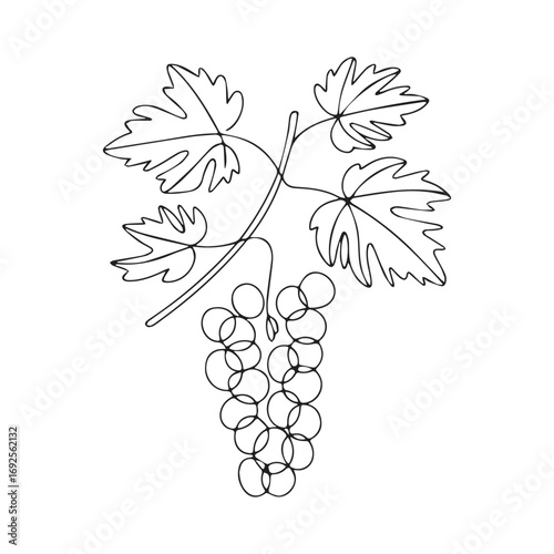 Simple black line art drawing of a grapes in a minimalist style on a white background.