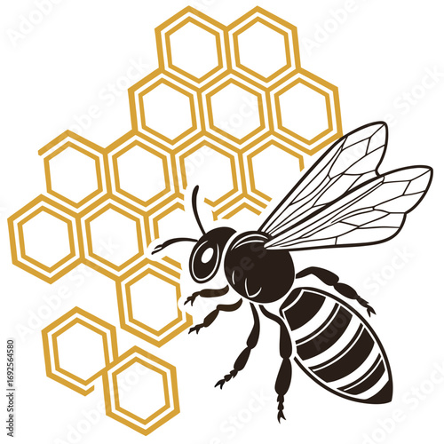 bee and honey