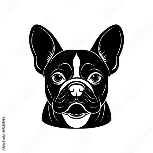 french bulldog perked ears  
