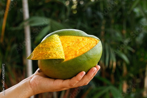 Fotografía Fresh Ripe Mango Held in Hand with Golden Flesh Exposed Against Tropical Garden