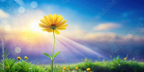 A single yellow flower blossoms majestically against a vibrant sunrise, bathed in golden light rays, amidst a field of smaller blooms.