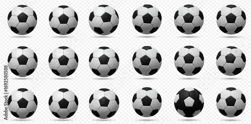 A collection of eighteen realistic 3D rendered soccer balls, mostly black and white, on a transparent background.