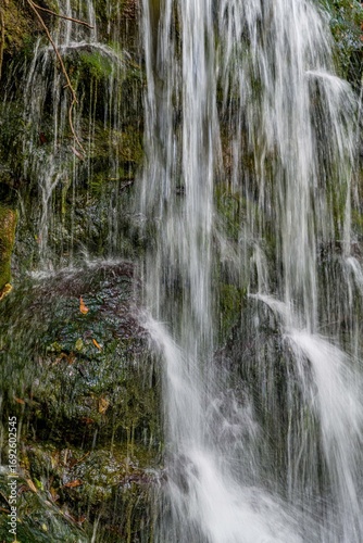 natural springs water