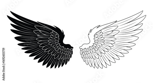 Vector illustration of pair of black and white angel wings, one solid black, one outlined in white