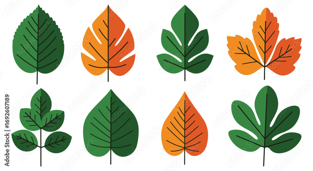Obraz premium a variety of leaves showcasing different shapes colors and sizes