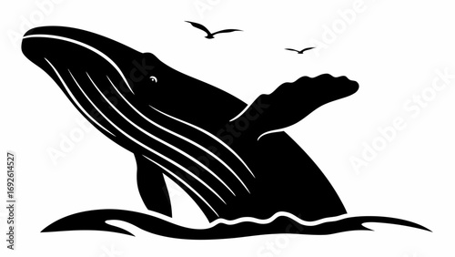 Silhouette of a humpback whale breaching the water with two birds flying above on a white background