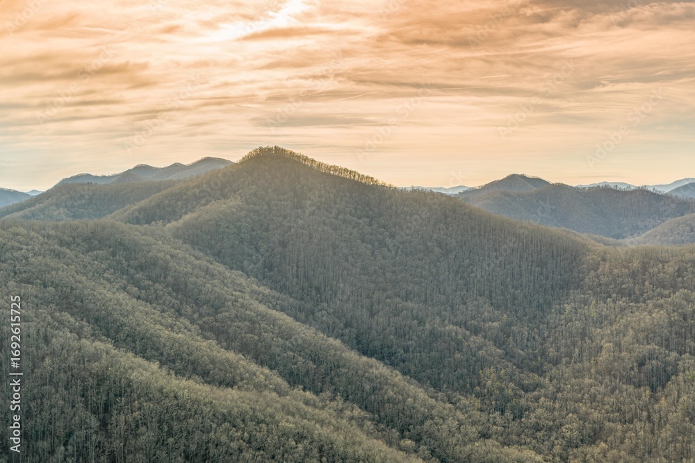 Fototapeta premium jacksonville, florida