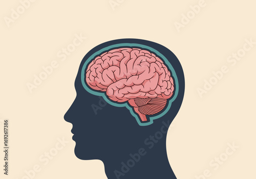 Human head profile with visible pink brain and blue outline.