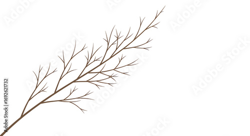 Bare tree branch, showcasing winters stark beauty, natures resilience, and the delicate intricacies of growth
