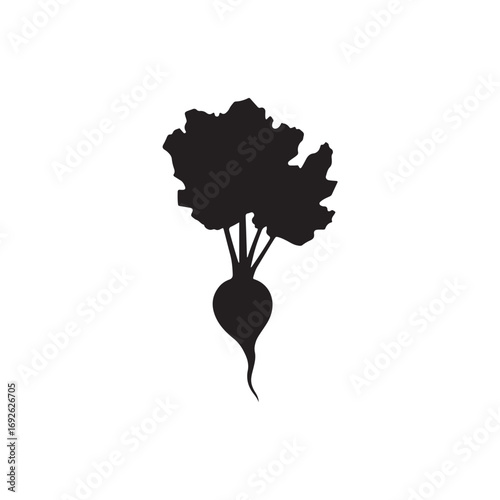 Beetroot Vector (4).eps