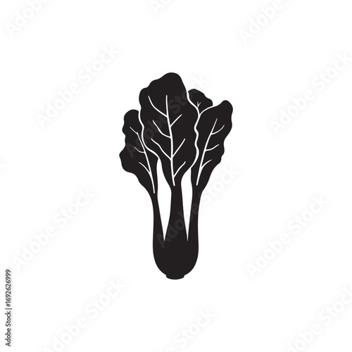 Bok Choy Vector (1).eps