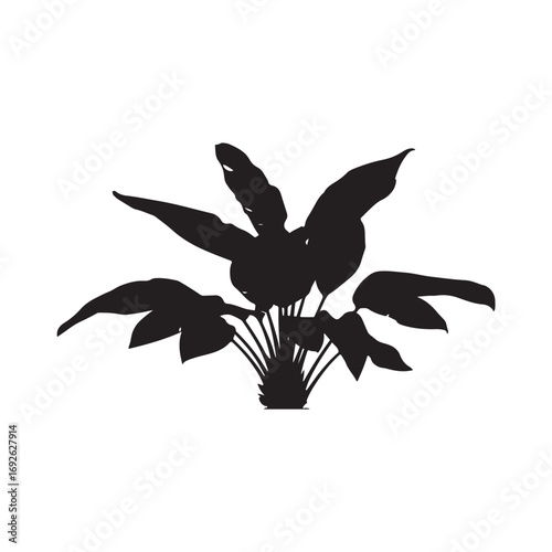 Cassava Vector (1).eps