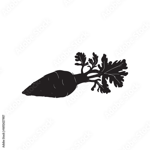 Cassava Vector (2).eps