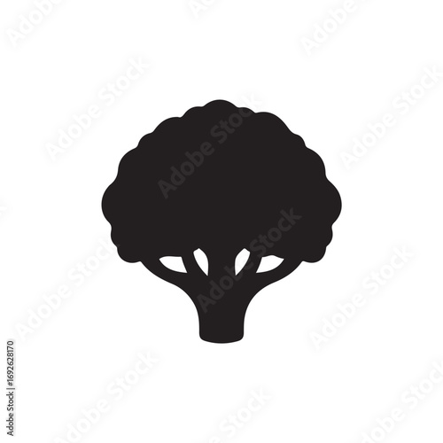 Cauliflower Vector  (2).eps