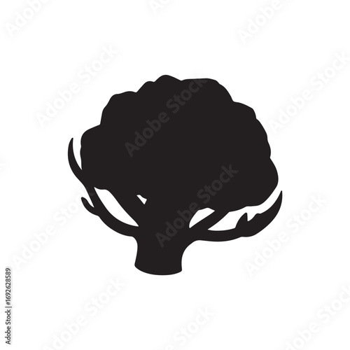 Cauliflower Vector (4).eps