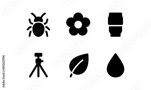 Minimalist icons set: insect, flower, camera lens, tripod, leaf, and water drop